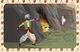 Thumbnail-2