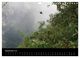 Thumbnail-11