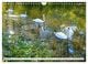 Thumbnail-14