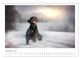 Thumbnail-14