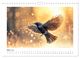Thumbnail-9
