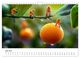 Thumbnail-11