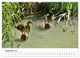 Thumbnail-14