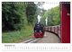 Thumbnail-13