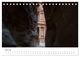 Thumbnail-9