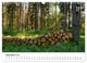 Thumbnail-14