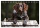 Thumbnail-10