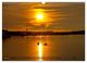 Thumbnail-11