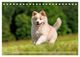 Thumbnail-11