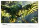 Thumbnail-11