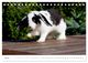 Thumbnail-9