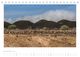Thumbnail-11