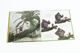 Thumbnail-4
