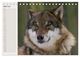 Thumbnail-9