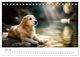 Thumbnail-9