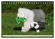 Thumbnail-14