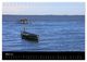 Thumbnail-11