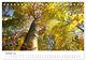 Thumbnail-12
