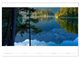Thumbnail-11