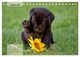 Thumbnail-10