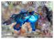 Thumbnail-12