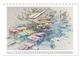 Thumbnail-14