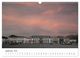 Thumbnail-11