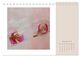 Thumbnail-14