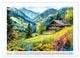 Thumbnail-9