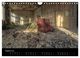 Thumbnail-10