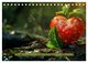 Thumbnail-12