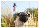 Thumbnail-10