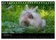 Thumbnail-13