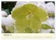 Thumbnail-14