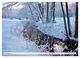 Thumbnail-14