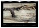 Thumbnail-12