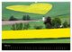 Thumbnail-7
