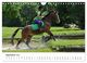 Thumbnail-14