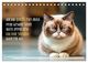 Thumbnail-11