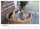 Thumbnail-13