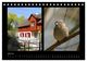Thumbnail-12
