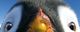Thumbnail-11