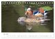 Thumbnail-10