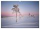 Thumbnail-11