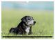 Thumbnail-13