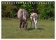 Thumbnail-10