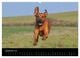 Thumbnail-11