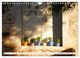 Thumbnail-9