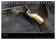 Thumbnail-12