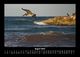Thumbnail-12